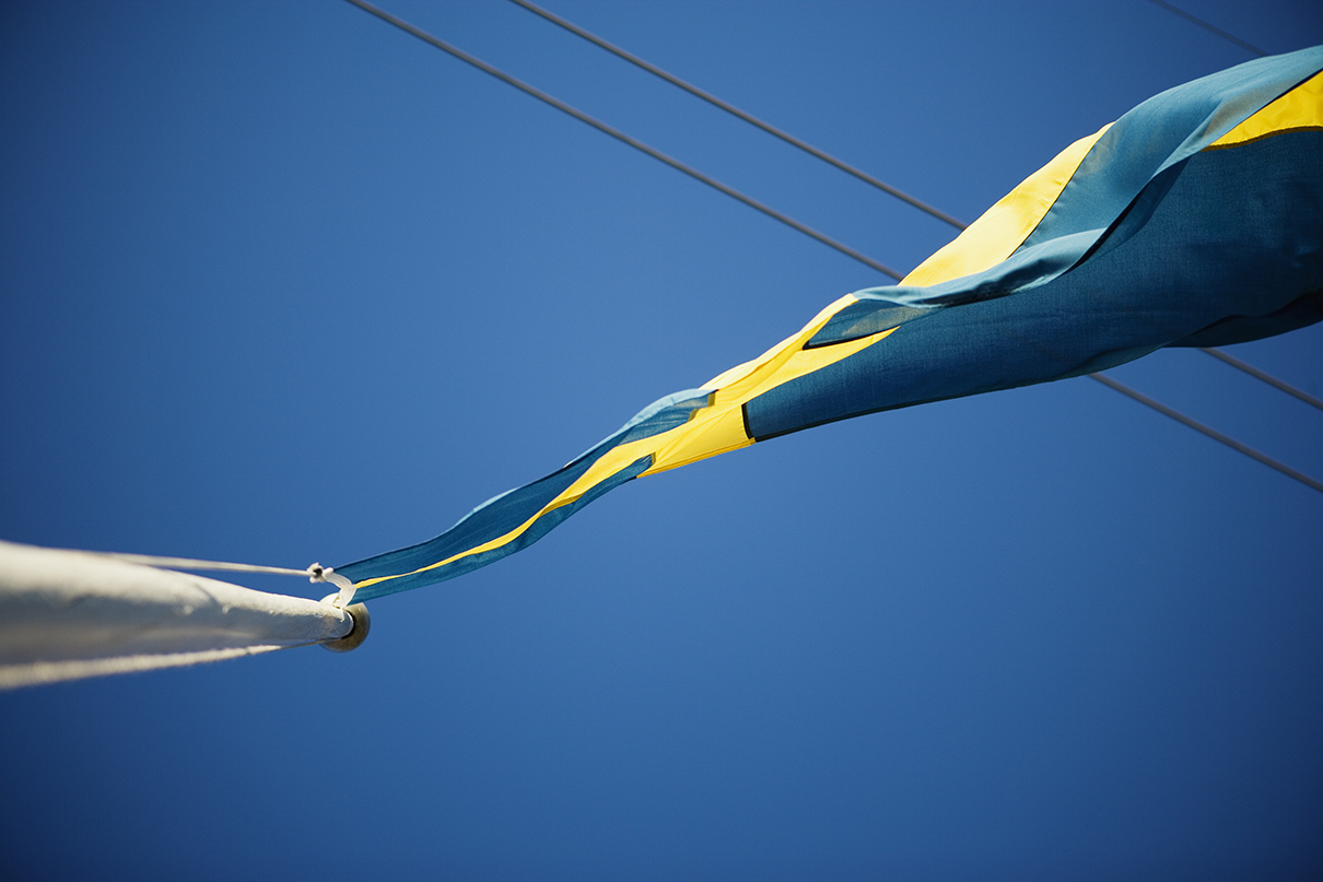 ELSA verktyget elnätsföretag, stickprov elmätare