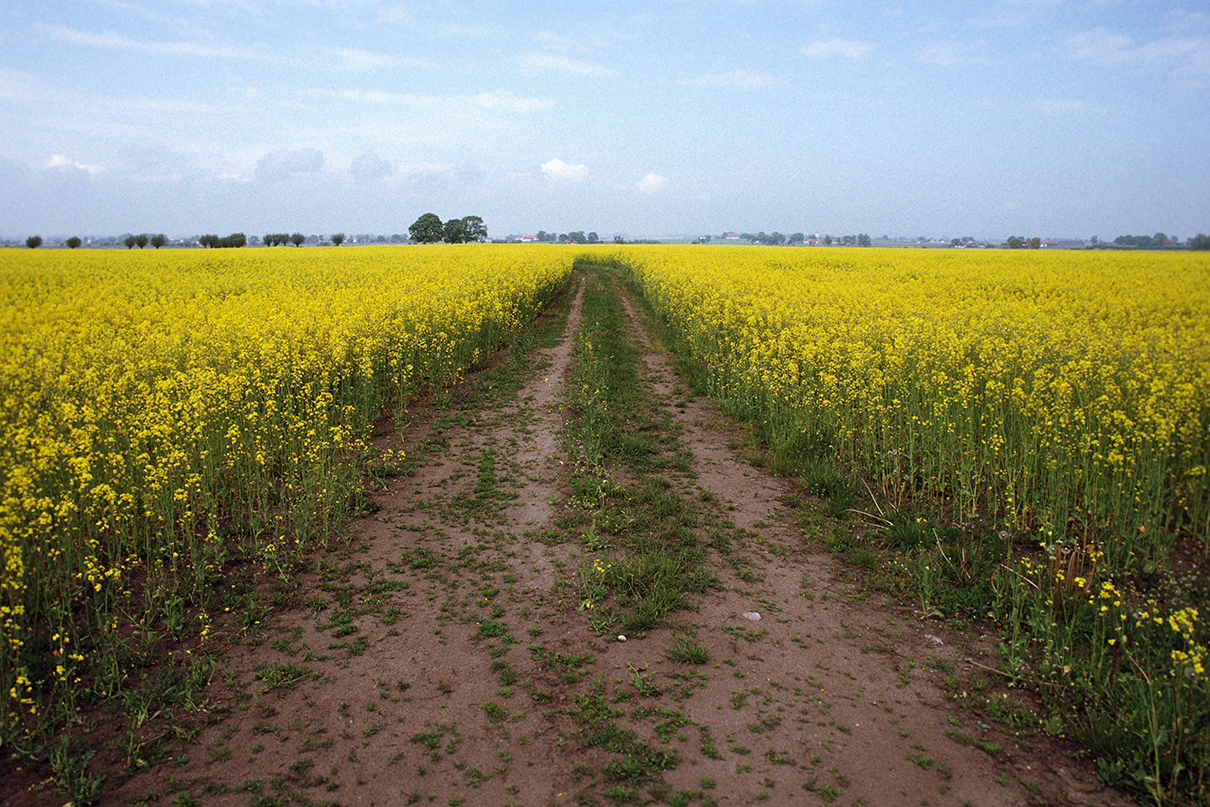 markåtkomst och ersättning markägare energibranschen